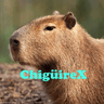 Profile picture for ChiguireX