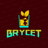 Profile picture for BryceT